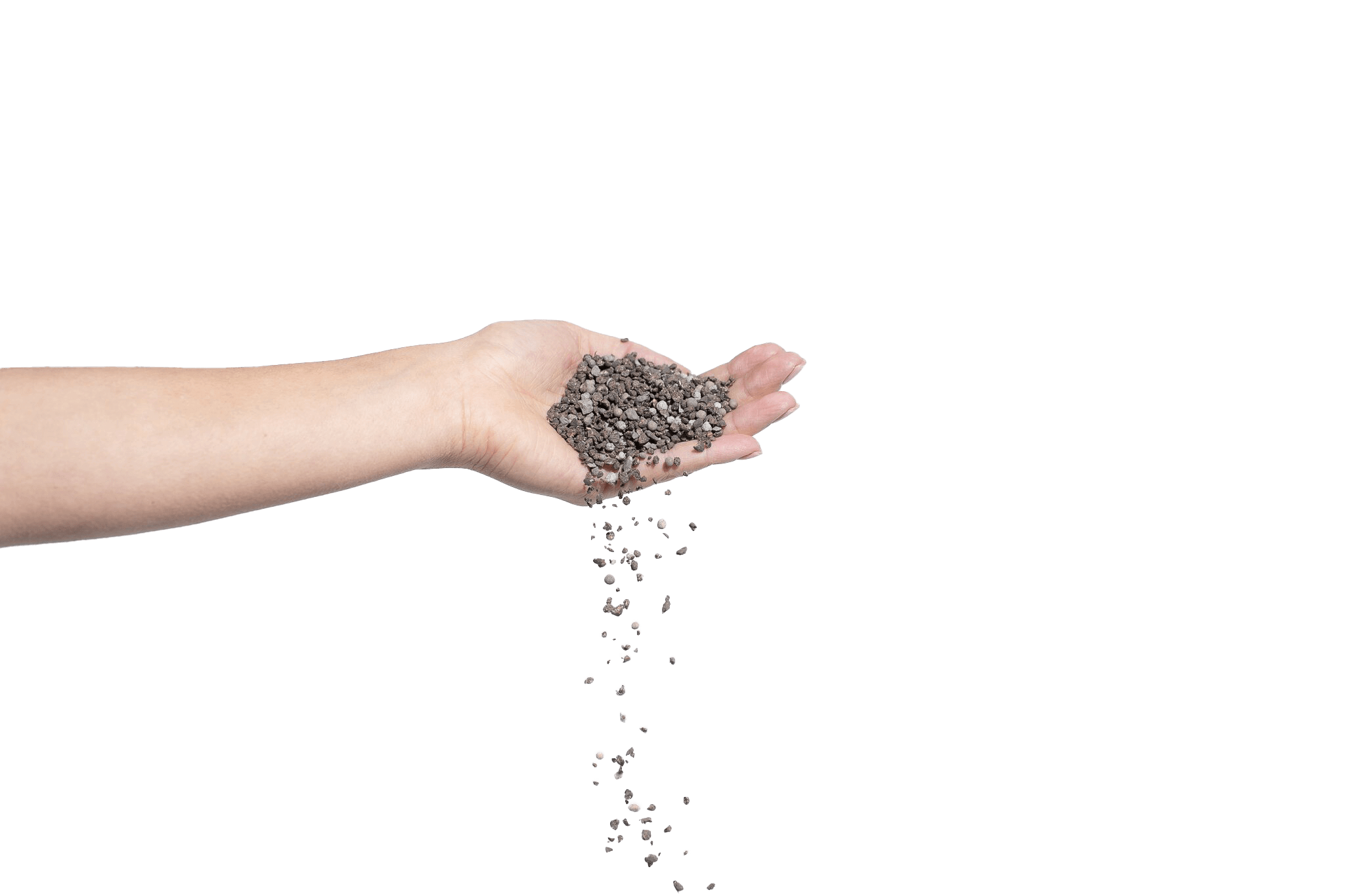 Palmen richtig düngen mit hochwertigem Bio-Dünger